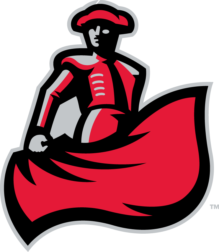 Cal State Northridge Matadors 2014-Pres Secondary Logo diy iron on heat transfer